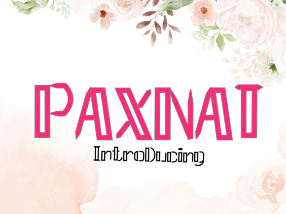 Paxnat: A Creative Display Font